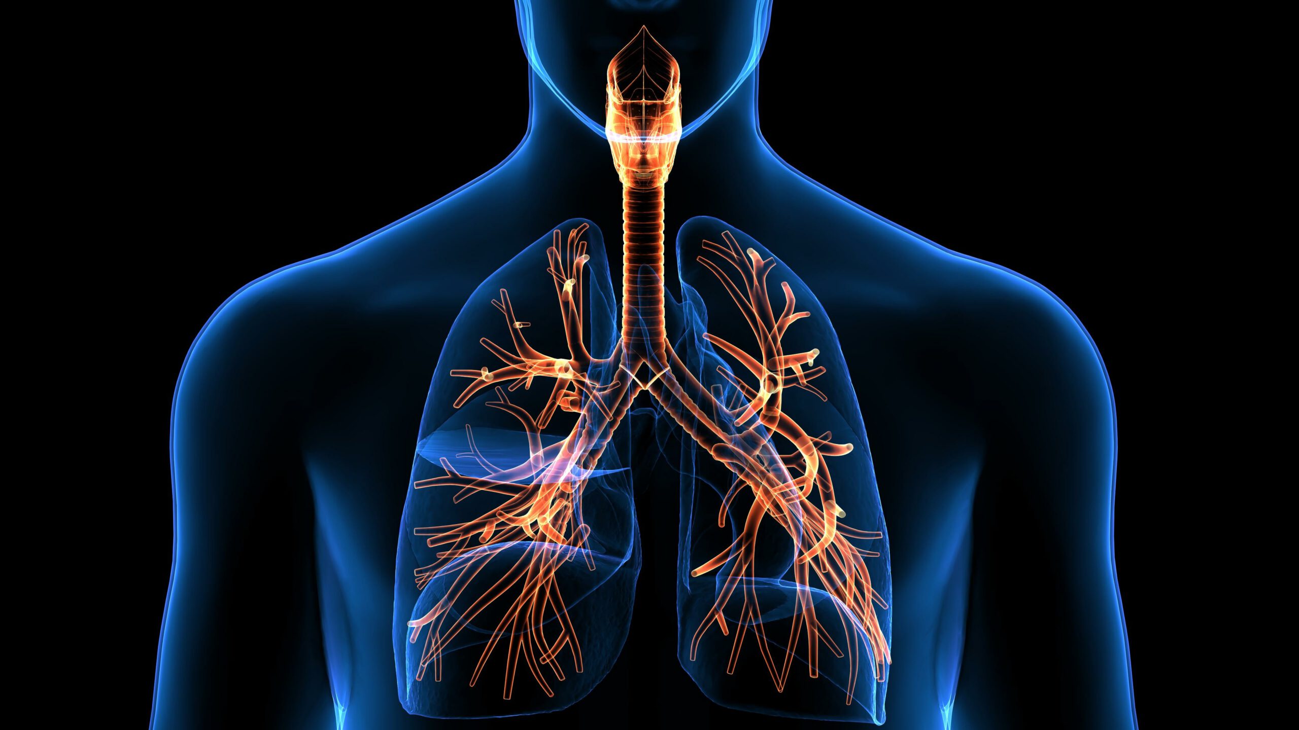 Voies respiratoire  les bienfaits des cures à Amélielesbains